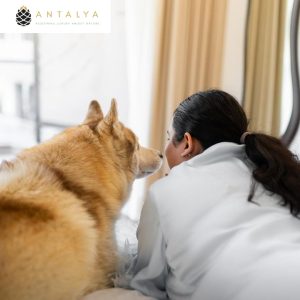 travel and pets
